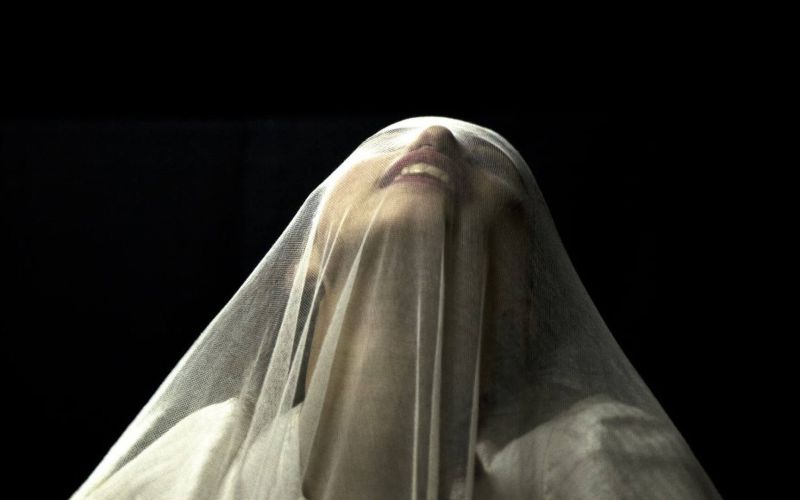 la follia dell imbianchino1